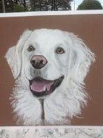 /album/galerie-photos/photo-1741-jpg/